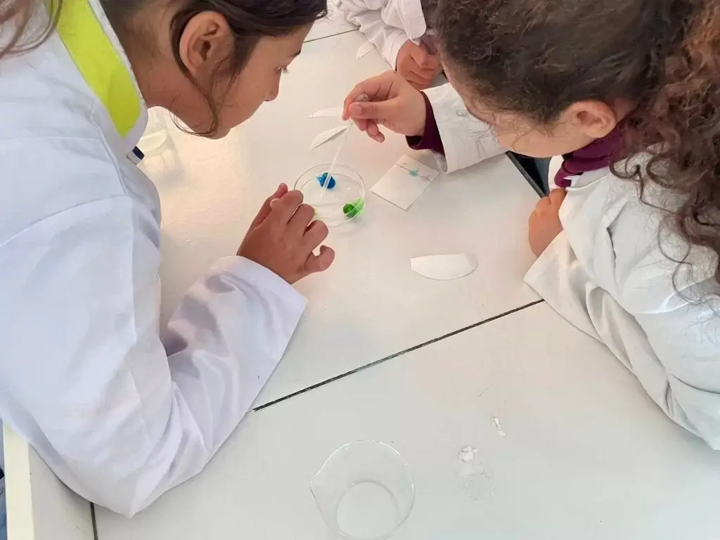 Club scientifique « Les Petits Futés »